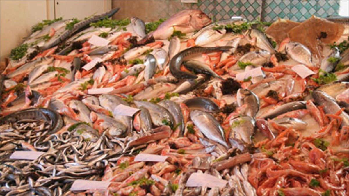 i-biomixania-alieias-sto-stoxastro-neas-tileoptikis-kampanias