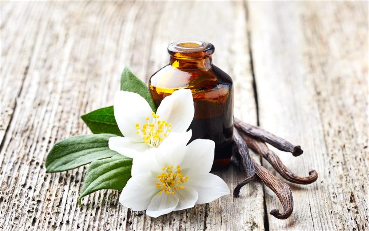 aitheria-elaia-banilia-giasemi