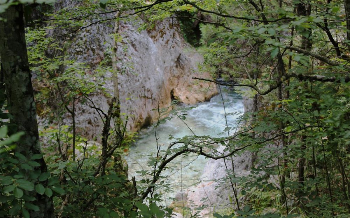 aridaia-loutra-pozar