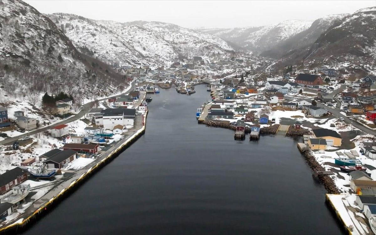 copyright--dcd-rights-dcd-rights