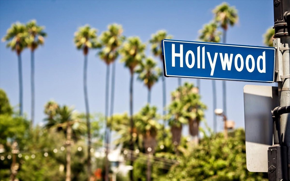 xoligount-fotografia