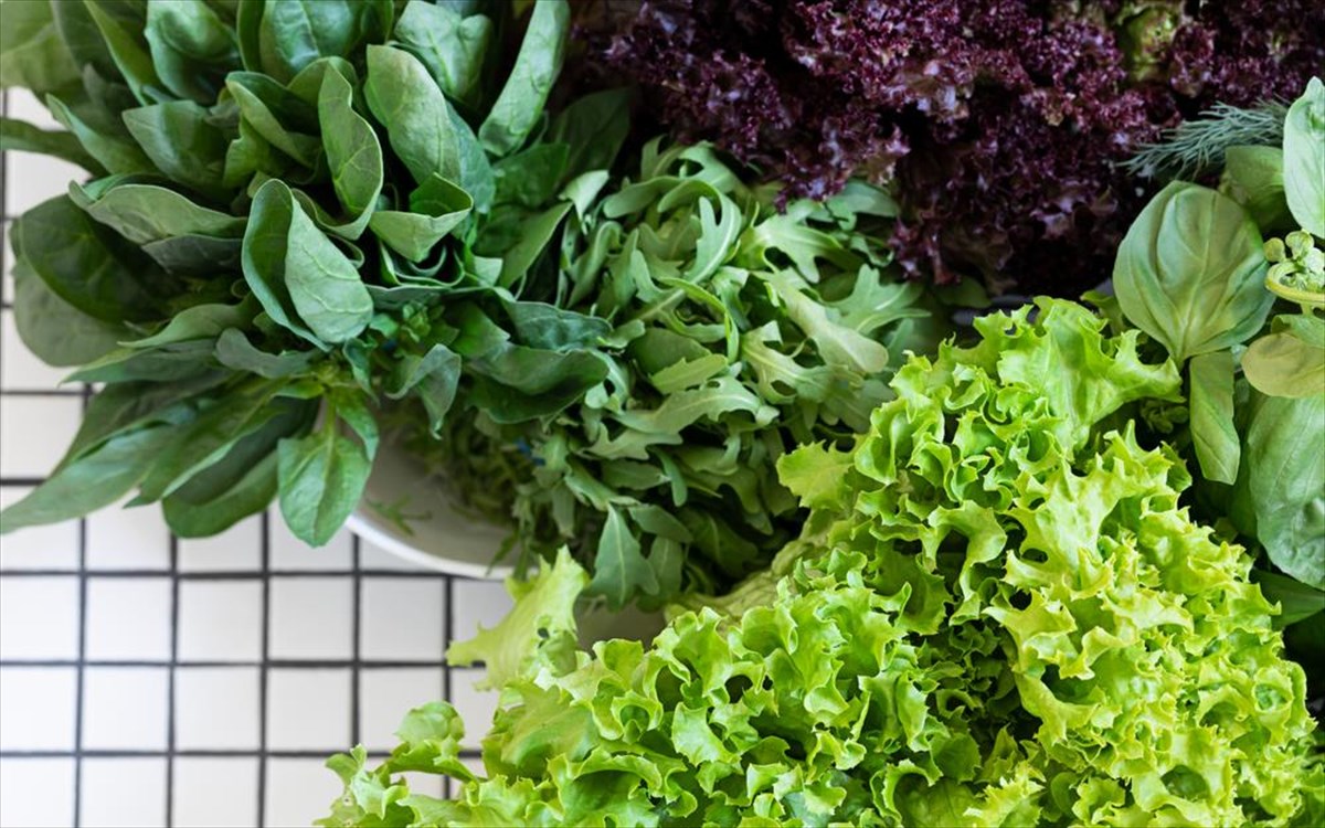 prasina-fullodi-laxanika