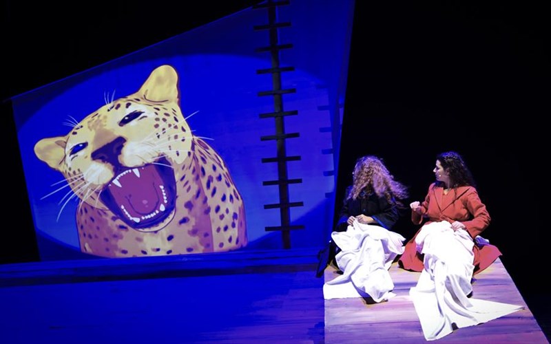 to-thruliko-kaplani-tis-bitrinasepistrefei-gia-2i-xronia-sto-idruma-mixalis-kakogiannis