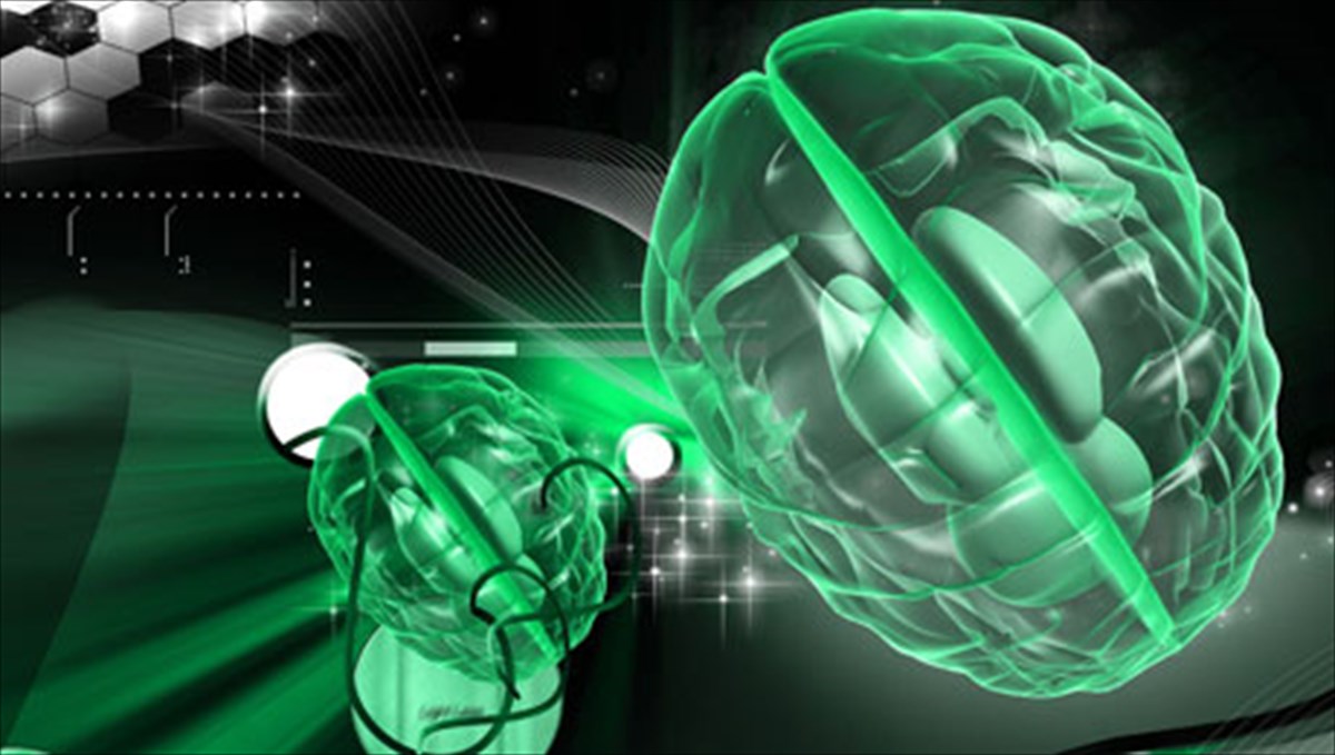 o-egkefalos-mas-kathorizei-ton-arithmo-ton-filon-mas