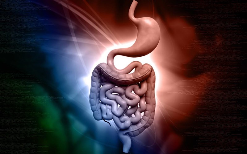 oi-xeiroteres-trofes-gia-tin-pepsi