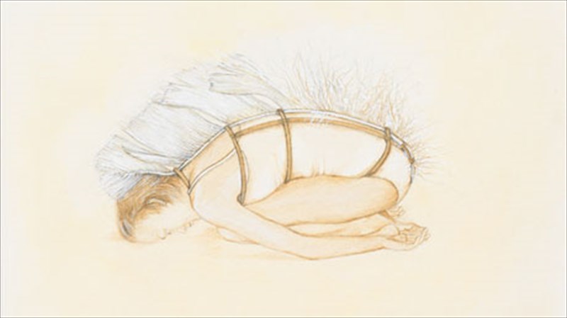 austriakes-emmones-kai-oikeiotita