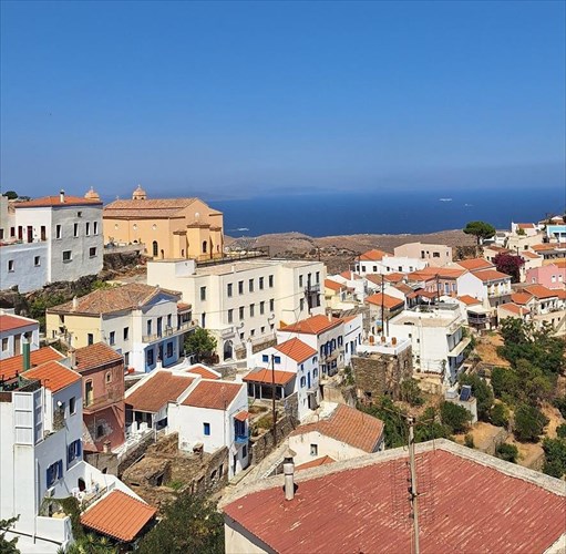 diakopes-stin-tzia-tou-fasianou-tis-arxaiotitas-kai-tis-fusis