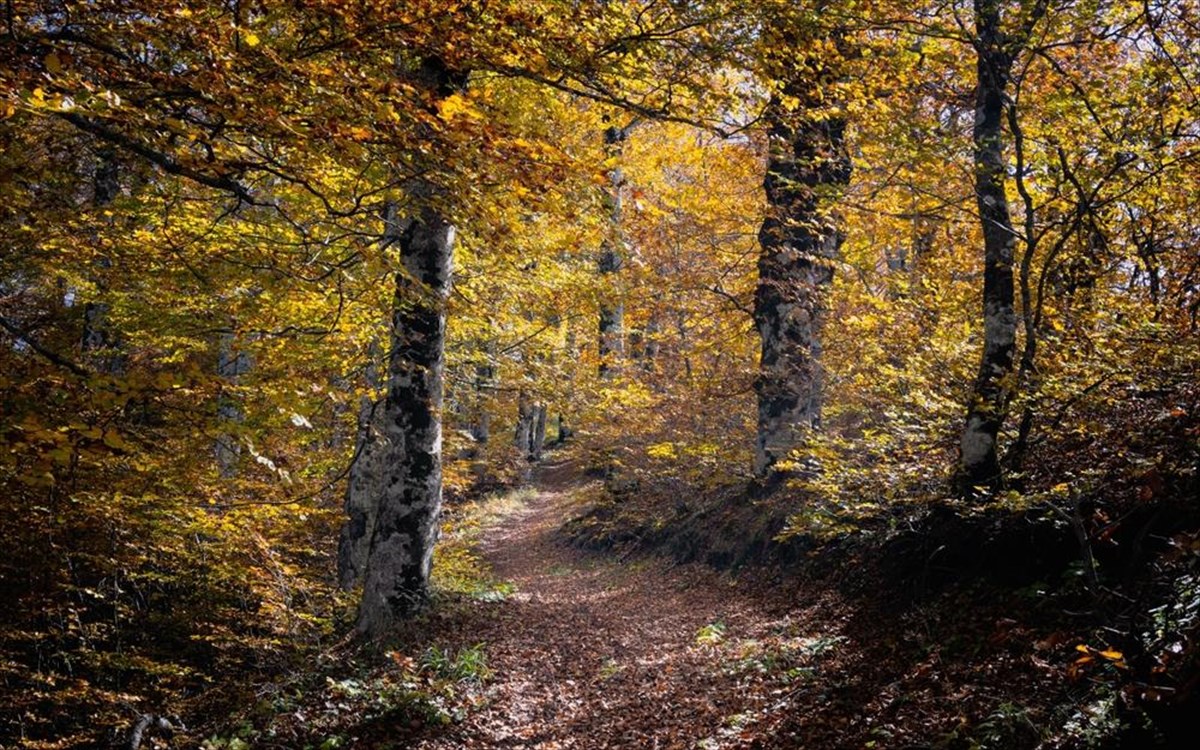 balia-kalnta-fthinoporo