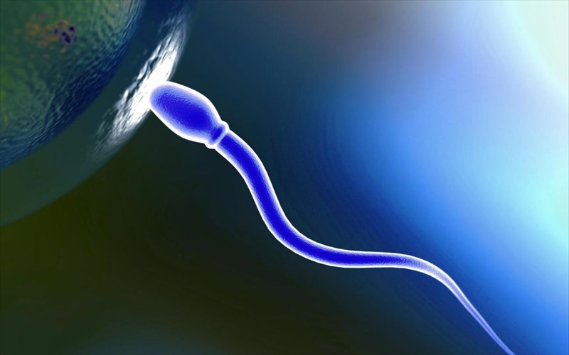 to-proto-rompotiko-sperma-einai-gegonos