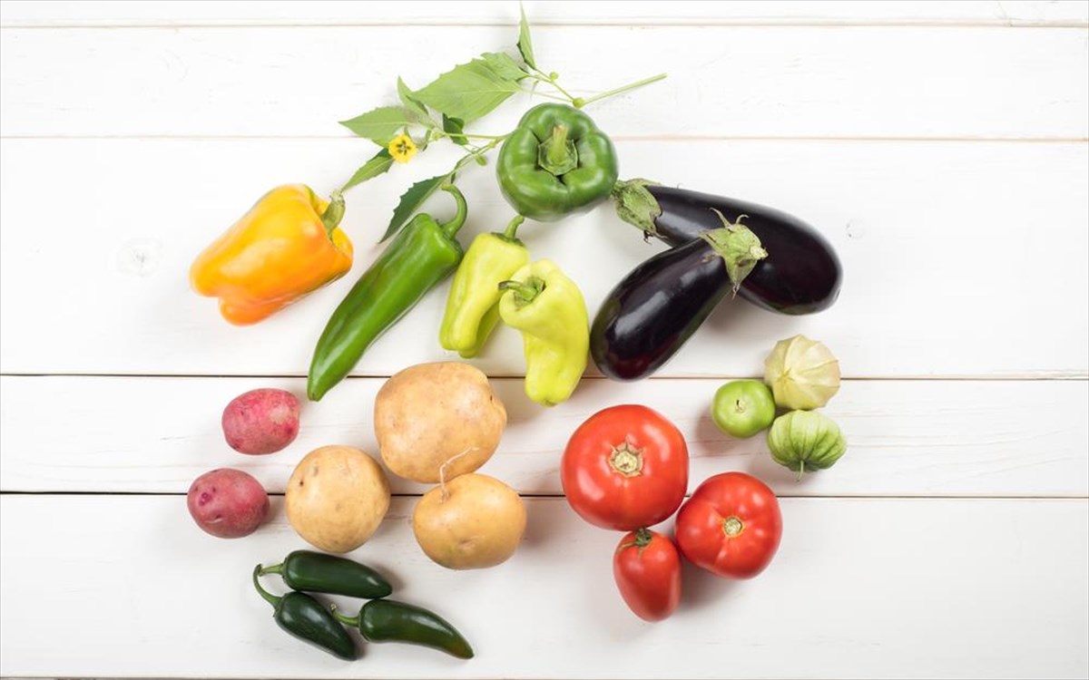 nightshades-solanides