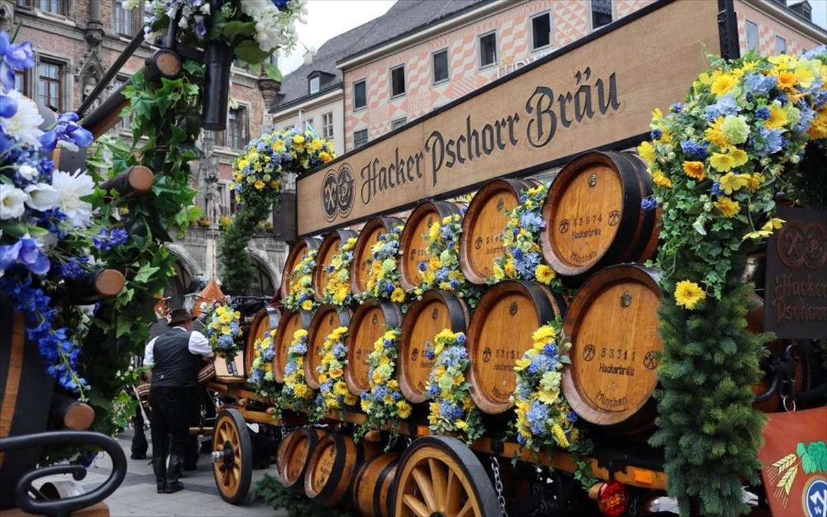 monaxo-mpira-bauaria