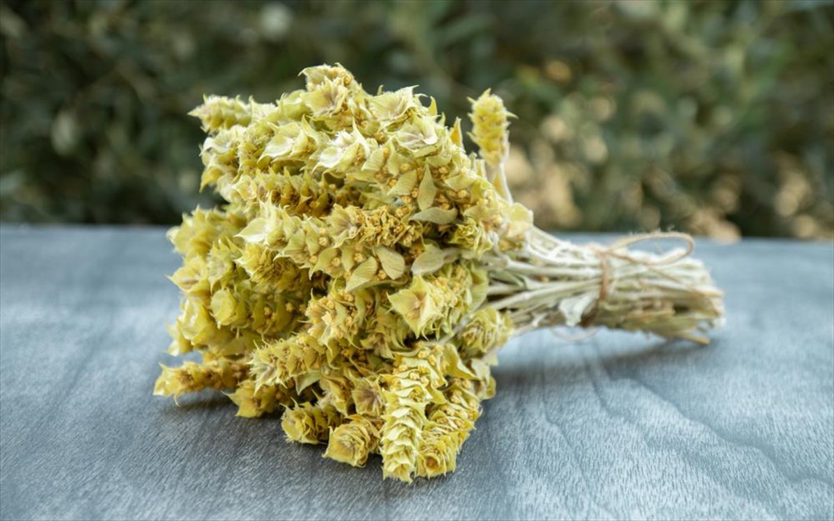 tsai-tou-bounou-botana