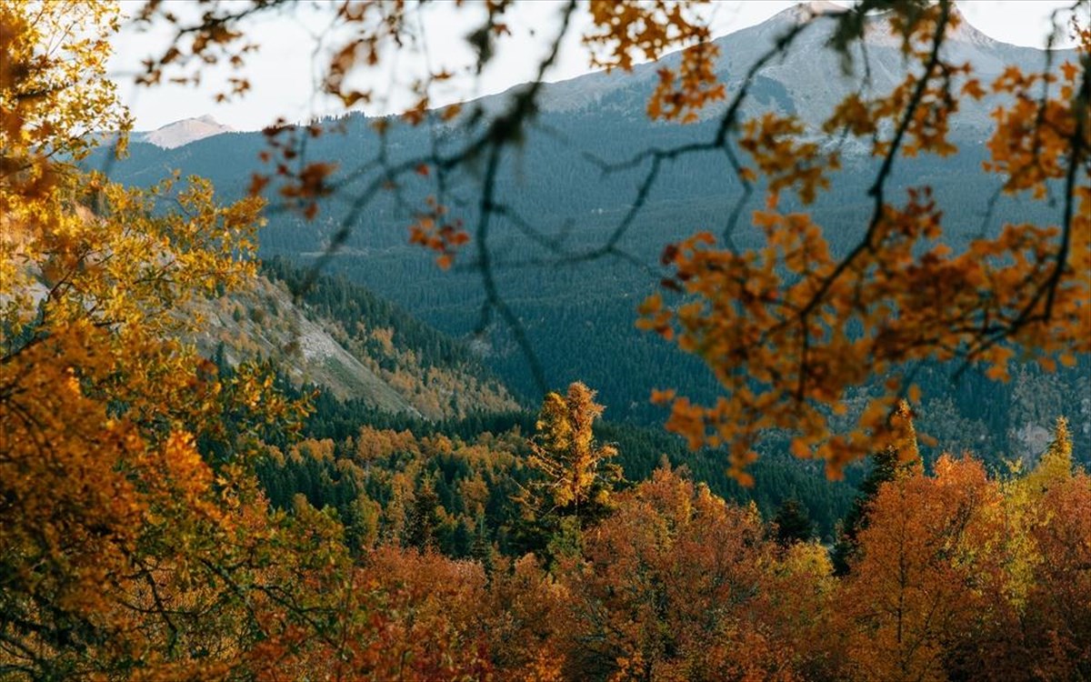 neraidoxori-thessalia