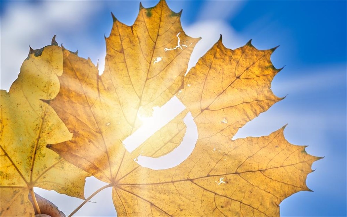 bitamini-d-fthinoporo