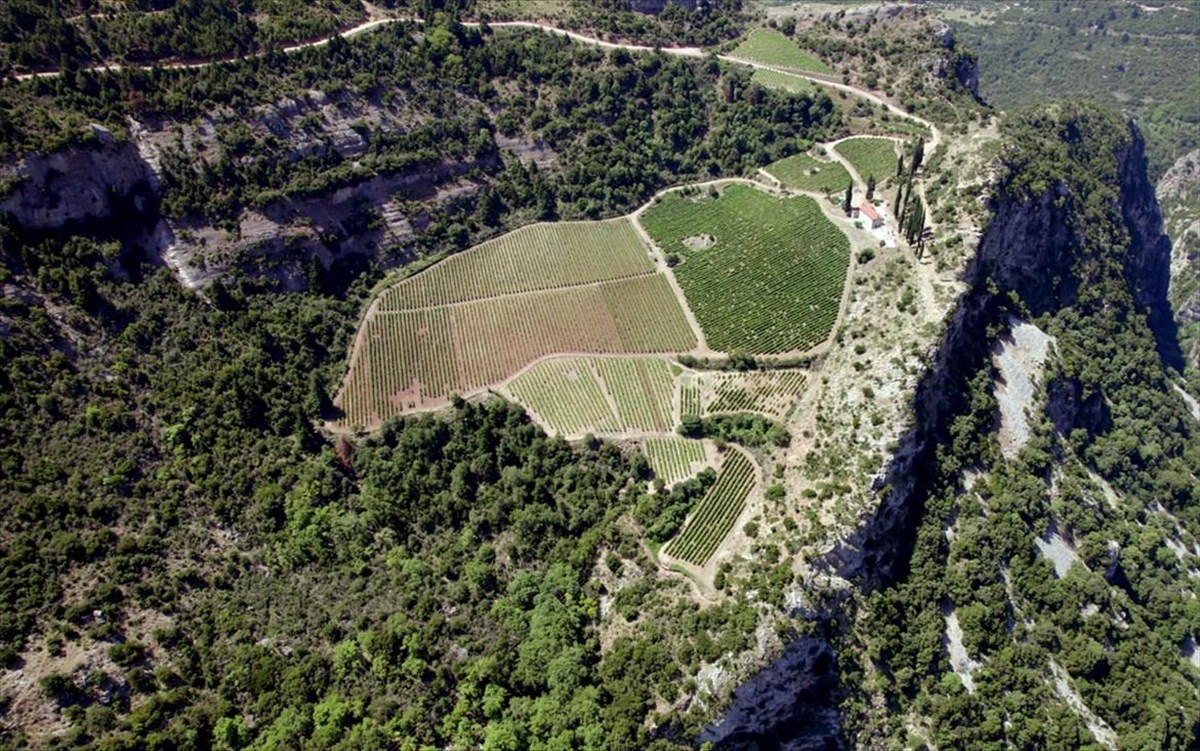 dytpeloponnisosmavrodafnivineyard