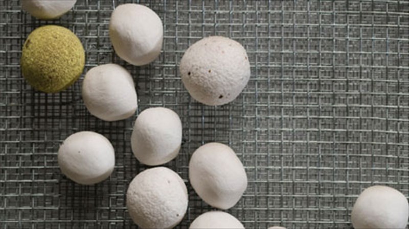 kuttara-kai-moria-kato-apo-ton-tholo-tou-planitariou