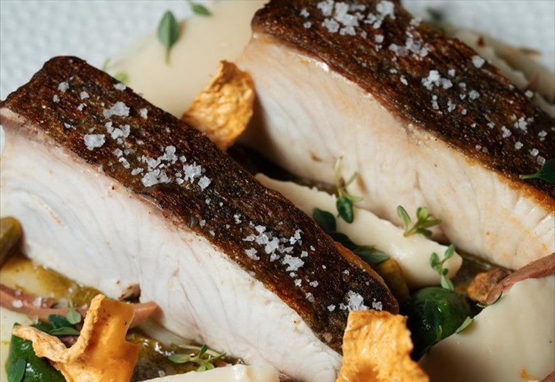 to-ydoron-erxetai-stin-ermou-kai-serbirei-psari-me-logiki-steakhouse