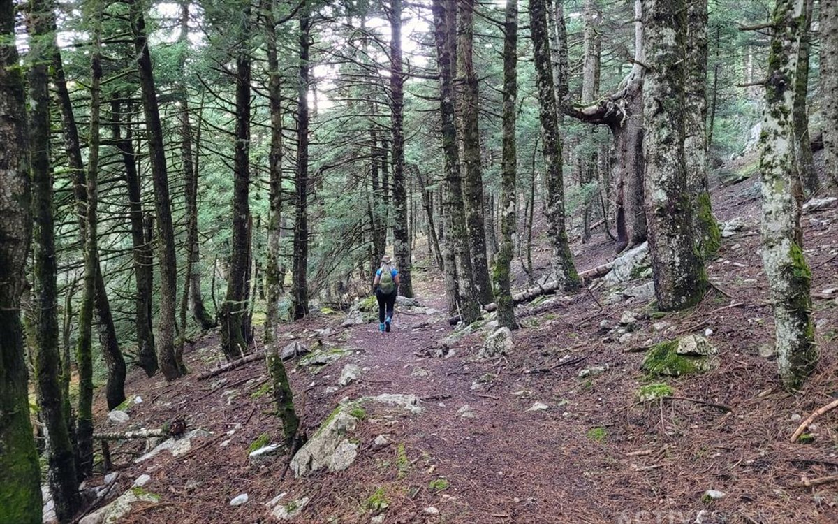 active-sundays-parnassos