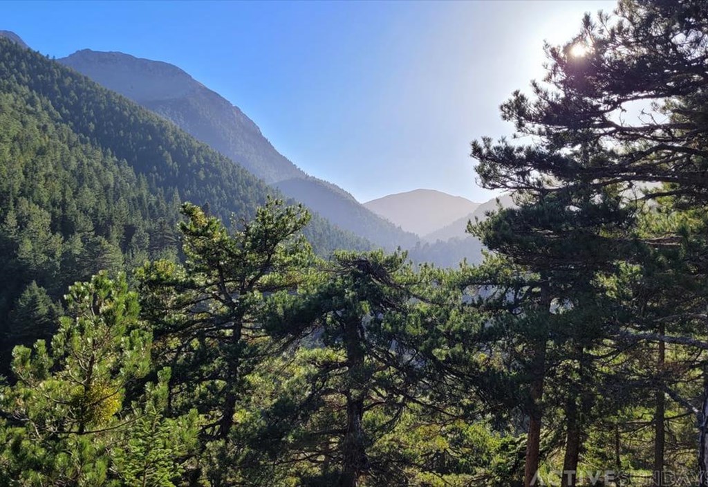 xristougenniatiki-bolta-sti-zireia-gia-ena-paramuthenio-dialeimma