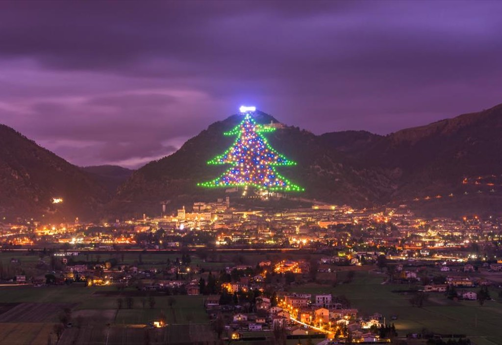 to-dentro-tou-gubbio-einai-to-megalutero-xristougenniatiko-dentro-ston-kosmo