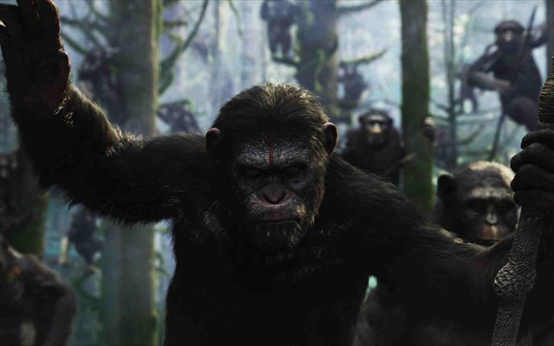 o-planitis-ton-pithikon-i-augi-deite-to-treiler-augi-deite-to-treiler