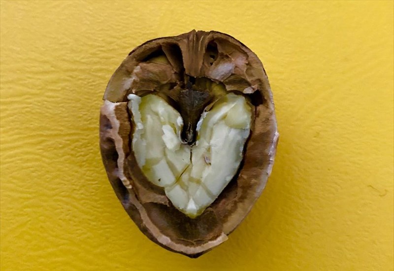 to-radisson-blu-park-hotel-athens-gemizei-kardies