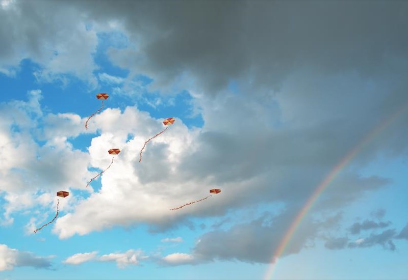 poies-alles-xores-petoun-xartaeto