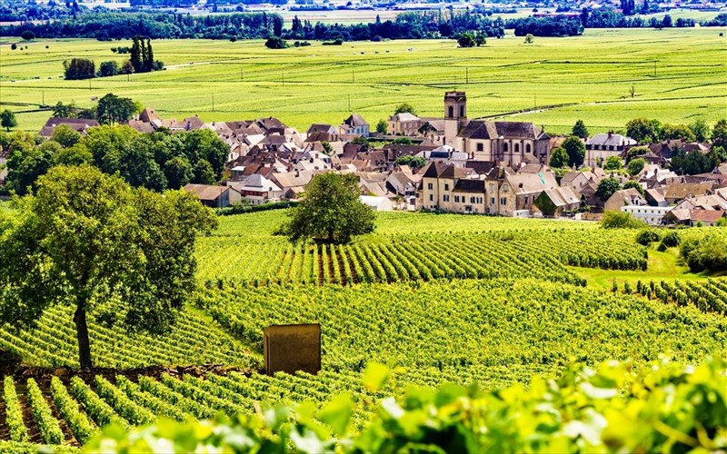 i-kardia-tis-bourgoundias-xtupa-se-ruthmous-tuflis-oinognosias