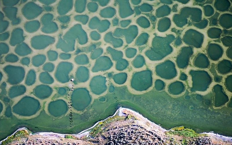 spotted-lake-mia-poua-limni-ston-kanada-thumizei-pinaka-tou-ntali