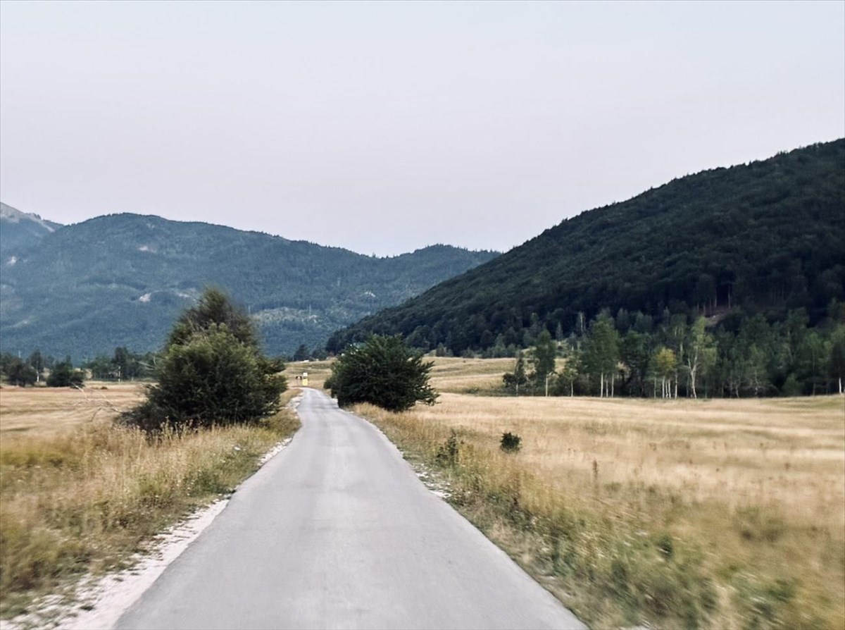 maurobounio
