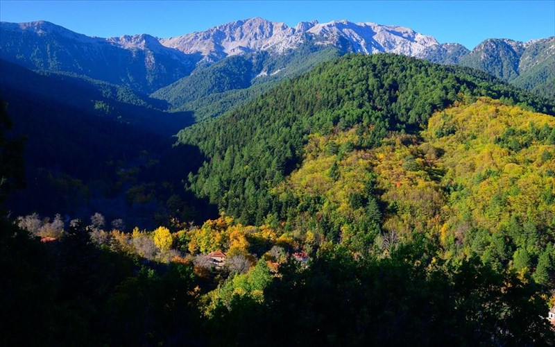 ston-topo-tis-gkolfos-o-spuros-peresiadis-kai-o-xelmos-pou-afigeitai-tis-dikes-tou-istories-xelmos-pou-afigeitai-tis-dikes-tou-istories