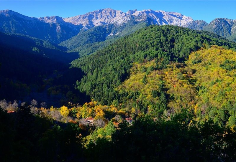 ston-topo-tis-gkolfos-o-spuros-peresiadis-kai-o-xelmos-pou-afigeitai-tis-dikes-tou-istories-xelmos-pou-afigeitai-tis-dikes-tou-istories