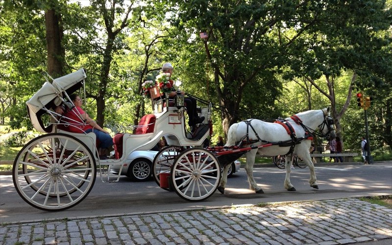 o-neos-dimarxos-tis-neas-yorkis-tha-apagoreusei-tis-amakses-stin-poli-