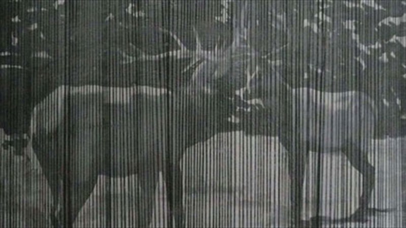 sxeseis-dunamis-kai-eksousias-se-apoxroseis-tou-maurou