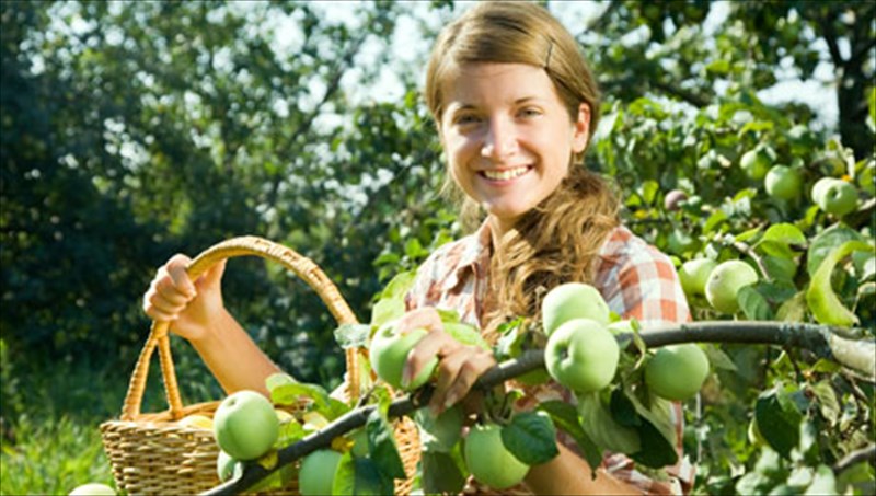 portokalia-apo-tin-kifisias-kai-elies-apo-tin-axarnon-giati-oxi