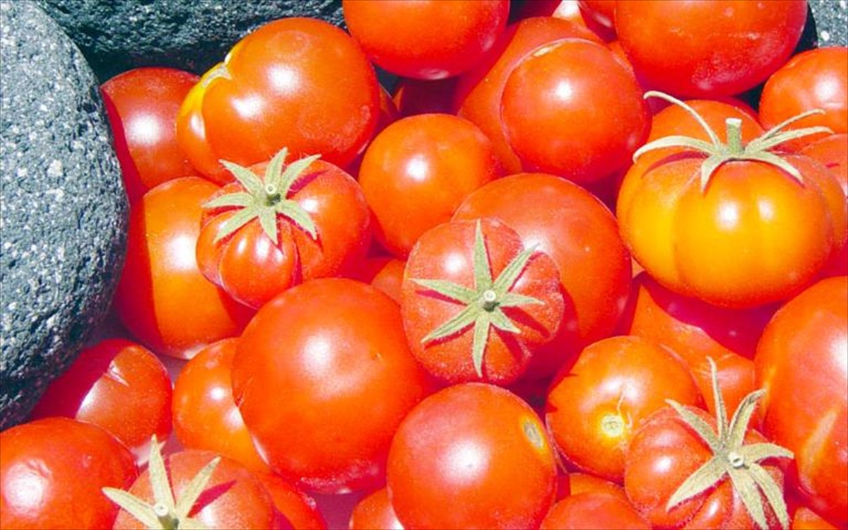 ntomataki-santorinis-ntomataki-santorinis