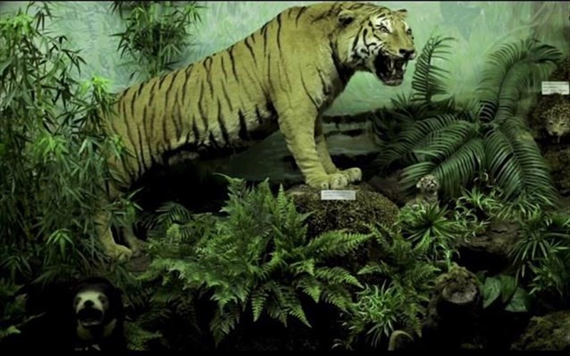 elliniki-paragogi-diekdikei-ti-xrusi-arkto-mikrou-mikous