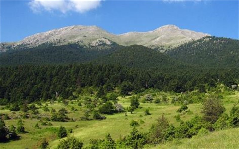 anakalupste-to-bouno-zireia-stin-korinthia