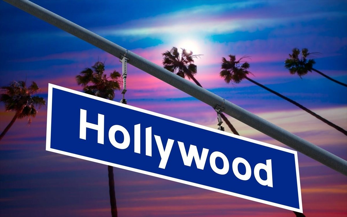 xoligount-fotografia