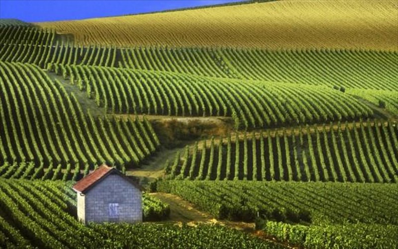 i-kampania-kai-i-bourgoundia-einai-upopsifies-pros-entaksi-sti-lista-tis-unesco-bourgoundia-einai-upopsifies-pros-entaksi-sti-lista-tis-unesco