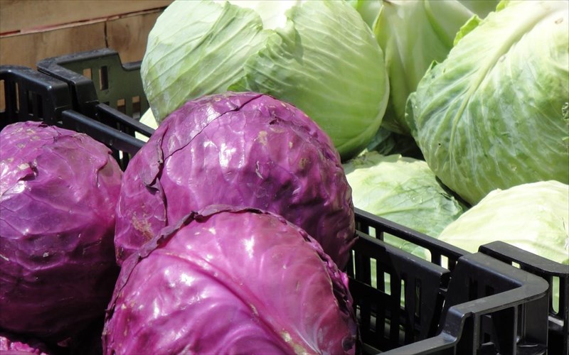 9-ekpliktika-diatrofika-ofeli-tou-laxanou-ekpliktika-diatrofika-ofeli-tou-laxanou