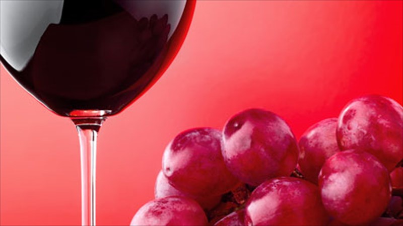 gnorimia-me-to-ktima-texni-oinou-dramas