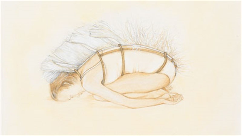 emmones-kai-oikeiotita-to-soma-sto-sugxrono-austriako-sxedio