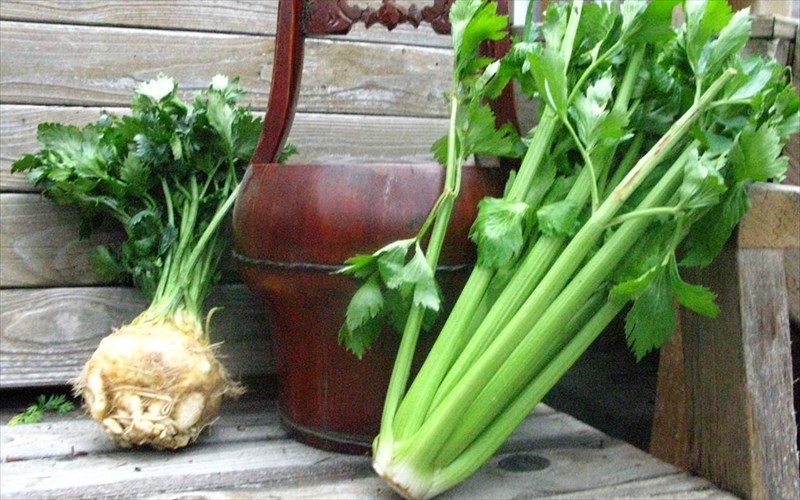 selino-seleri-i-selinoriza-as-ta-ksexorisoume-epitelous-selinoriza-as-ta-ksexorisoume-epitelous