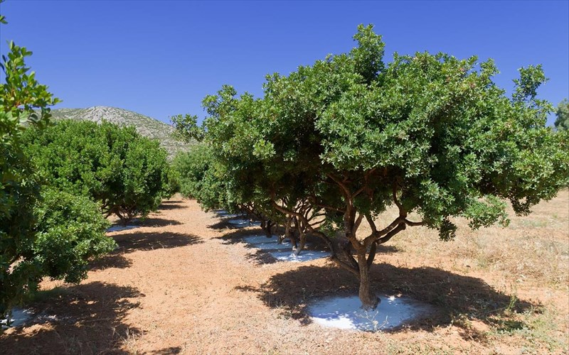 monadika-taksidia-stin-ellada-me-geustiko-kai-oxi-mono-skopo