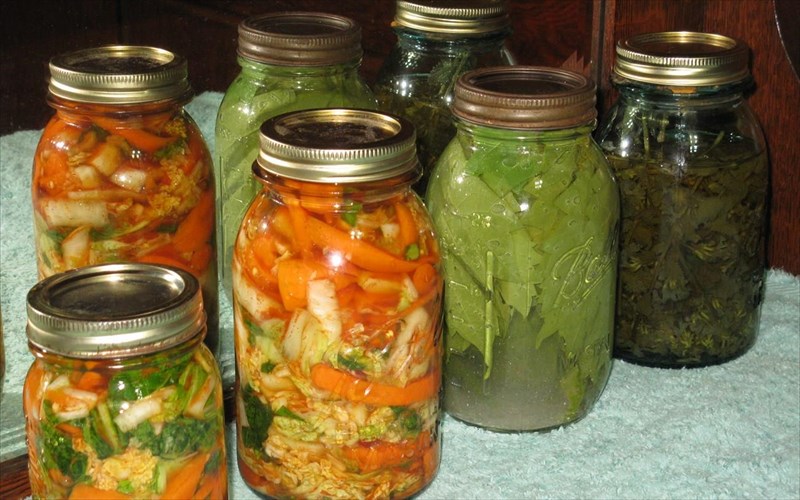 8-simantikoi-logoi-gia-na-trome-trofes-pou-exoun-upostei-zumosi-simantikoi-logoi-gia-na-trome-trofes-pou-exoun-upostei-zumosi