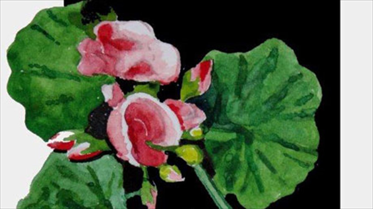 ta-tapeina-louloudia-tou-kipou-se-akouarela