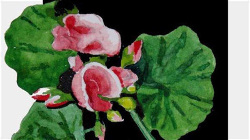 ta-tapeina-louloudia-tou-kipou-se-akouarela