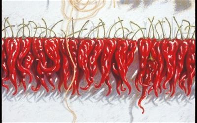 nekri-fusi-kai-neo-realistiki-parastatiki-apo-tin-athina-latinopoulou