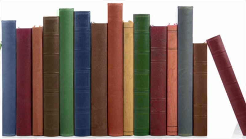 o-kinoumenos-stoxos-tou-nasou-bagena